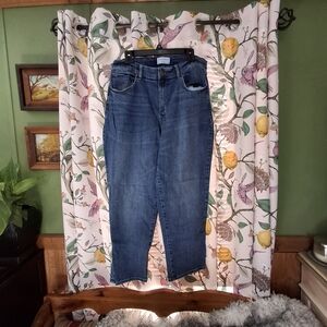 Lane Bryant Women's Straight Leg Jeans in Blue